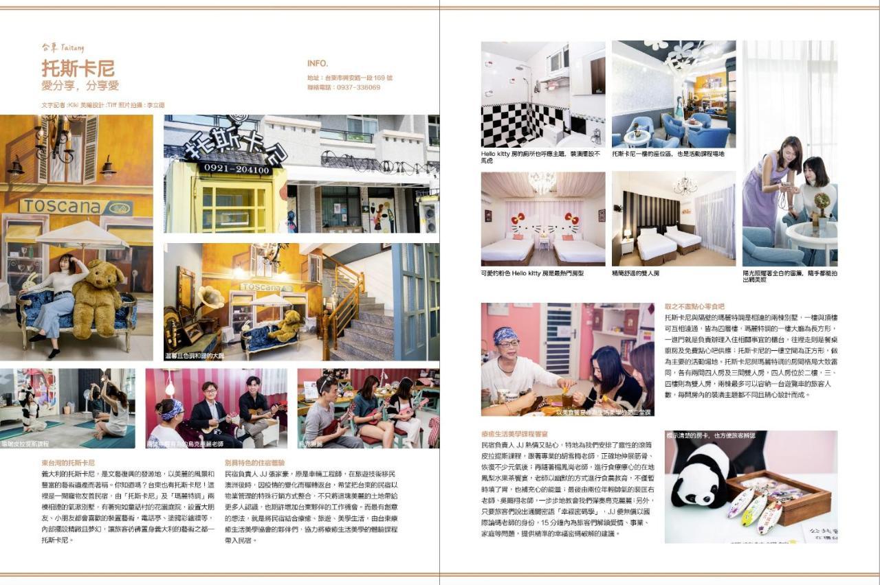 台東民宿托斯卡尼療癒館toscana Mary 親子寵物友善可包棟卡拉ok自動麻將 T'ai-tung Extérieur photo